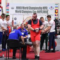 XXXIV World Championship WPC World Champions Cup AWPC / WAA (Фото №#0399)