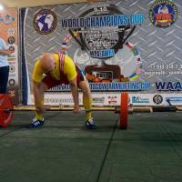 World Champions Cup WPA/AWPA - Moscow Armlifting Cup WAA - 2017 (Фото №#0206)