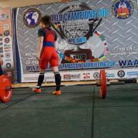 World Champions Cup WPA/AWPA - Moscow Armlifting Cup WAA - 2017 (Фото №#0252)