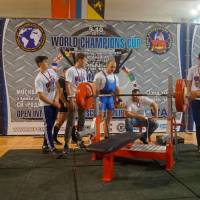 World Champions Cup WPA/AWPA - Moscow Armlifting Cup WAA - 2017 (Фото №#0311)