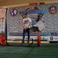 World Champions Cup WPA/AWPA - Moscow Armlifting Cup WAA - 2017 (Фото №#0352)