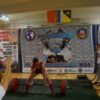 World Champions Cup WPA/AWPA - Moscow Armlifting Cup WAA - 2017 (Фото №#0447)