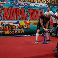 3-rd OPEN EUROPE CHAMPIONS CUP WPA/AWPA/WAA-2018 (Фото №#1494)