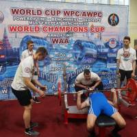 WORLD CUP WPC/AWPC/WAA - 2018 (Фото №#0084)