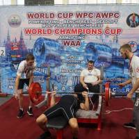 WORLD CUP WPC/AWPC/WAA - 2018 (Фото №#0137)