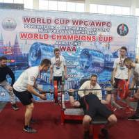 WORLD CUP WPC/AWPC/WAA - 2018 (Фото №#0191)