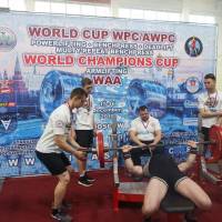 WORLD CUP WPC/AWPC/WAA - 2018 (Фото №#0223)