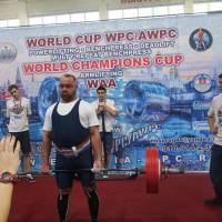 WORLD CUP WPC/AWPC/WAA - 2018 (Фото №#0227)