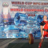 WORLD CUP WPC/AWPC/WAA - 2018 (Фото №#0272)