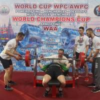 WORLD CUP WPC/AWPC/WAA - 2018 (Фото №#0331)