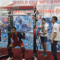 WORLD CUP WPC/AWPC/WAA - 2018 (Фото №#0342)