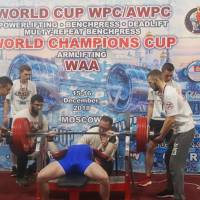 WORLD CUP WPC/AWPC/WAA - 2018 (Фото №#0348)