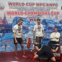 WORLD CUP WPC/AWPC/WAA - 2018 (Фото №#0501)