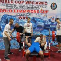WORLD CUP WPC/AWPC/WAA - 2018 (Фото №#0517)