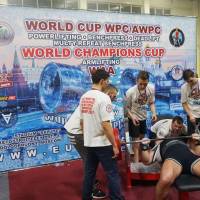 WORLD CUP WPC/AWPC/WAA - 2018 (Фото №#0624)