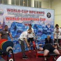 WORLD CUP WPC/AWPC/WAA - 2018 (Фото №#0796)
