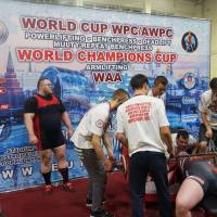 WORLD CUP WPC/AWPC/WAA - 2018 (Фото №#0823)
