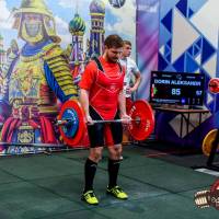 OPEN EURASIA CHAMPIONSHIP IPC/IPC-A/WAA-2025  (часть 2) (Фото №#0497)